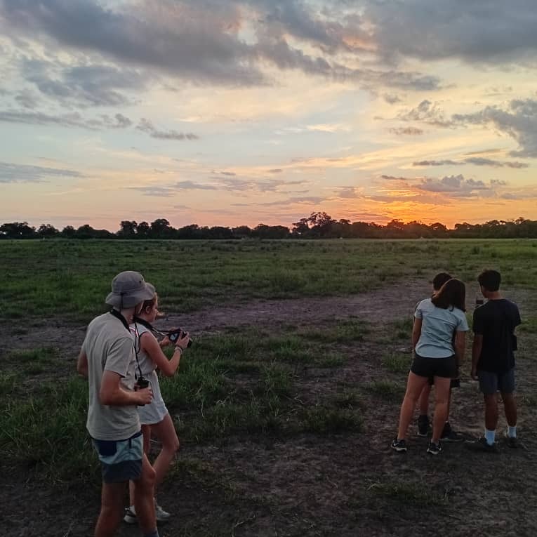 Windhoek International School tweet media