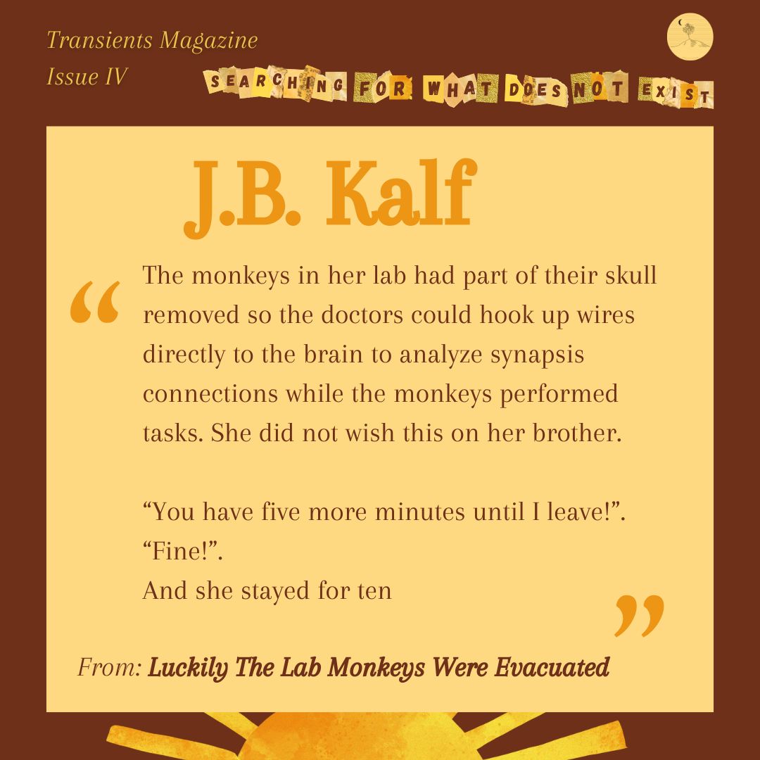 TransientsMag - subs 🌏CLOSED🌎 tweet media