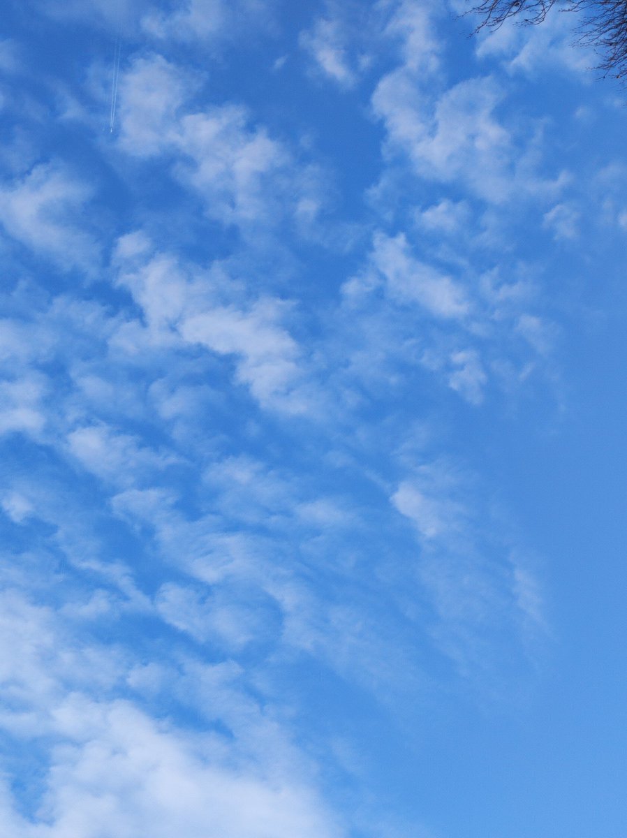 LOlivierFichant's tweet image. 8am France. Clear sky spoiled with nothing but FAKE CLOUDS. 
👉 sprayed on purpose to prevent the heat to reach us.
👉 NOT the result of pollution by persistent contrails from normal plane traffic that would be a cause of global warming🌍 as the psyop lies.

#artificialclouds