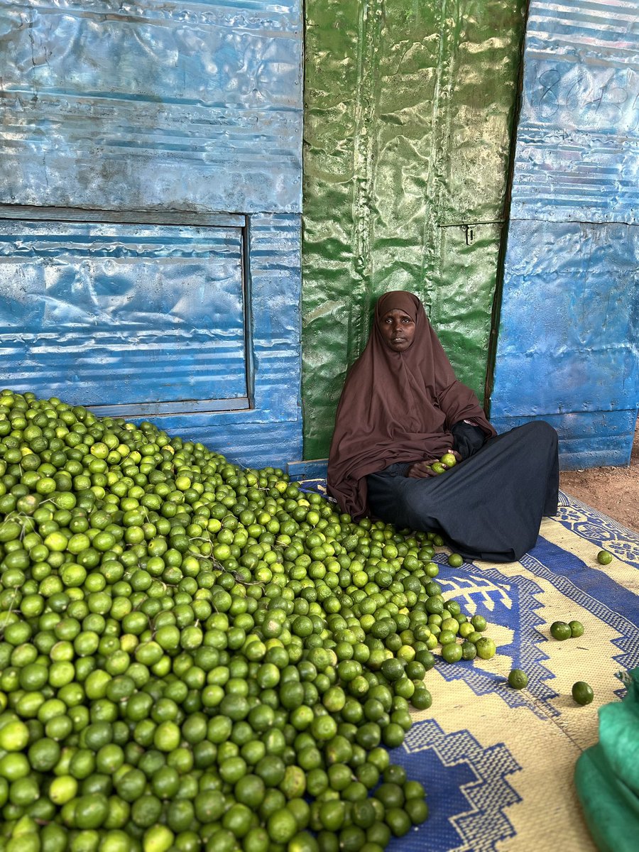UNIDO Somalia tweet media