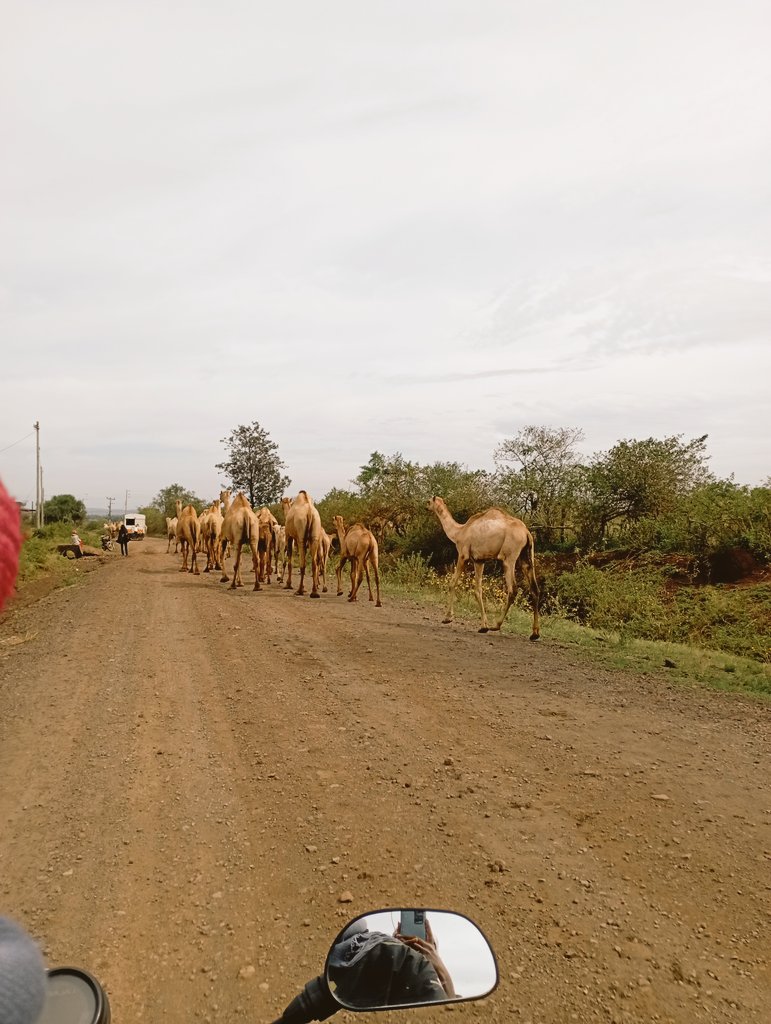 Small small traffic pale shambani.