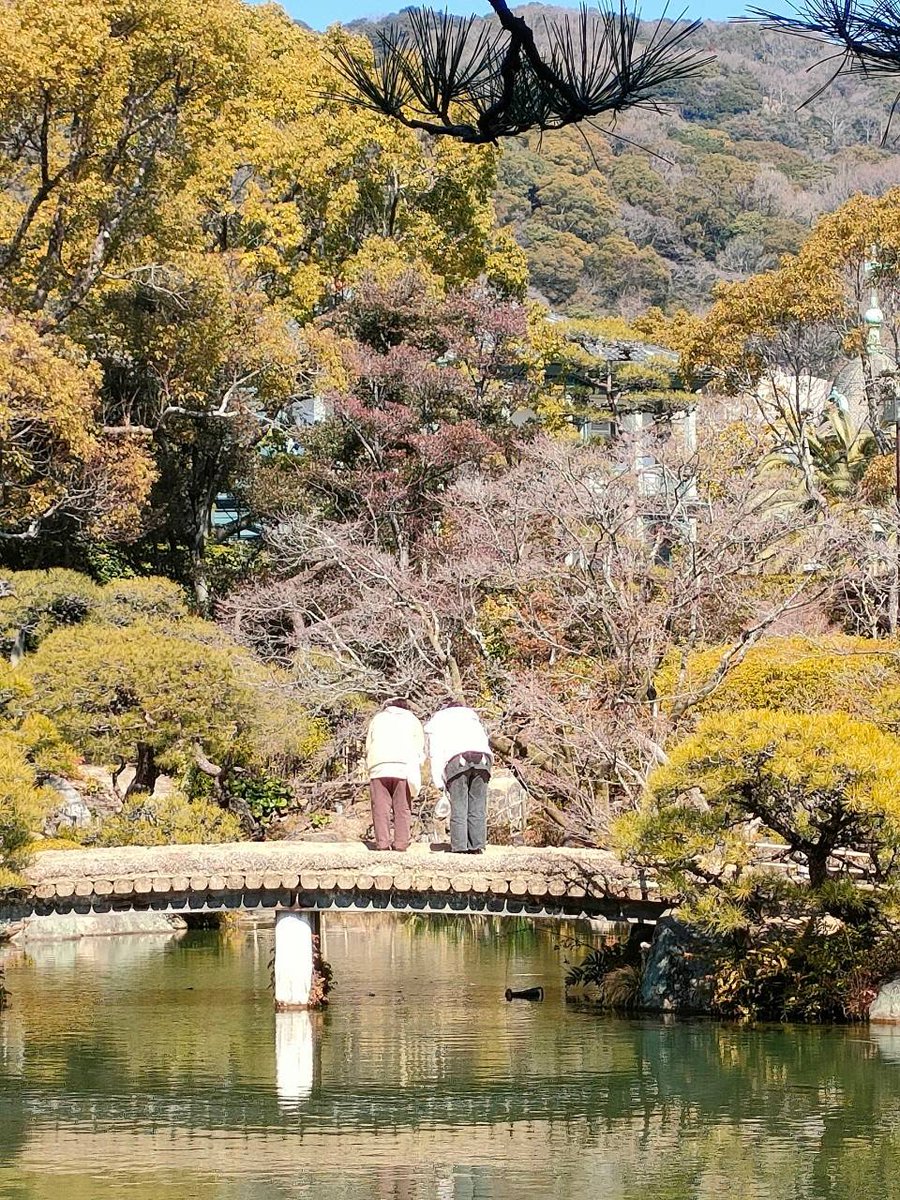 KindaiEnken's tweet photo. こんにちは！園芸研究会です🌱

今回の冬合宿は神戸市立相楽園と有馬温泉♨に行ってきました！日本庭園と温泉を堪能できたと思います！ https://t.co/MuRjPrfnZT