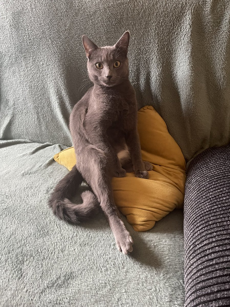 Bobs wishes you all a good week.