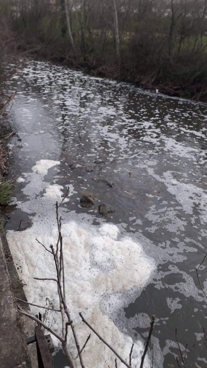 Segons la valoració <a href="/aigua_cat/">ACA</a> el riu Fluvià a Olot no està en bones condicions, sinó "MEDIOCRE". Enguany, els episodis de contaminació del riu Fluvià a Olot han durat diverses setmanes, sovint associats a pudors fètides. Ha estat cobert d'escuma durant dies sencers👇