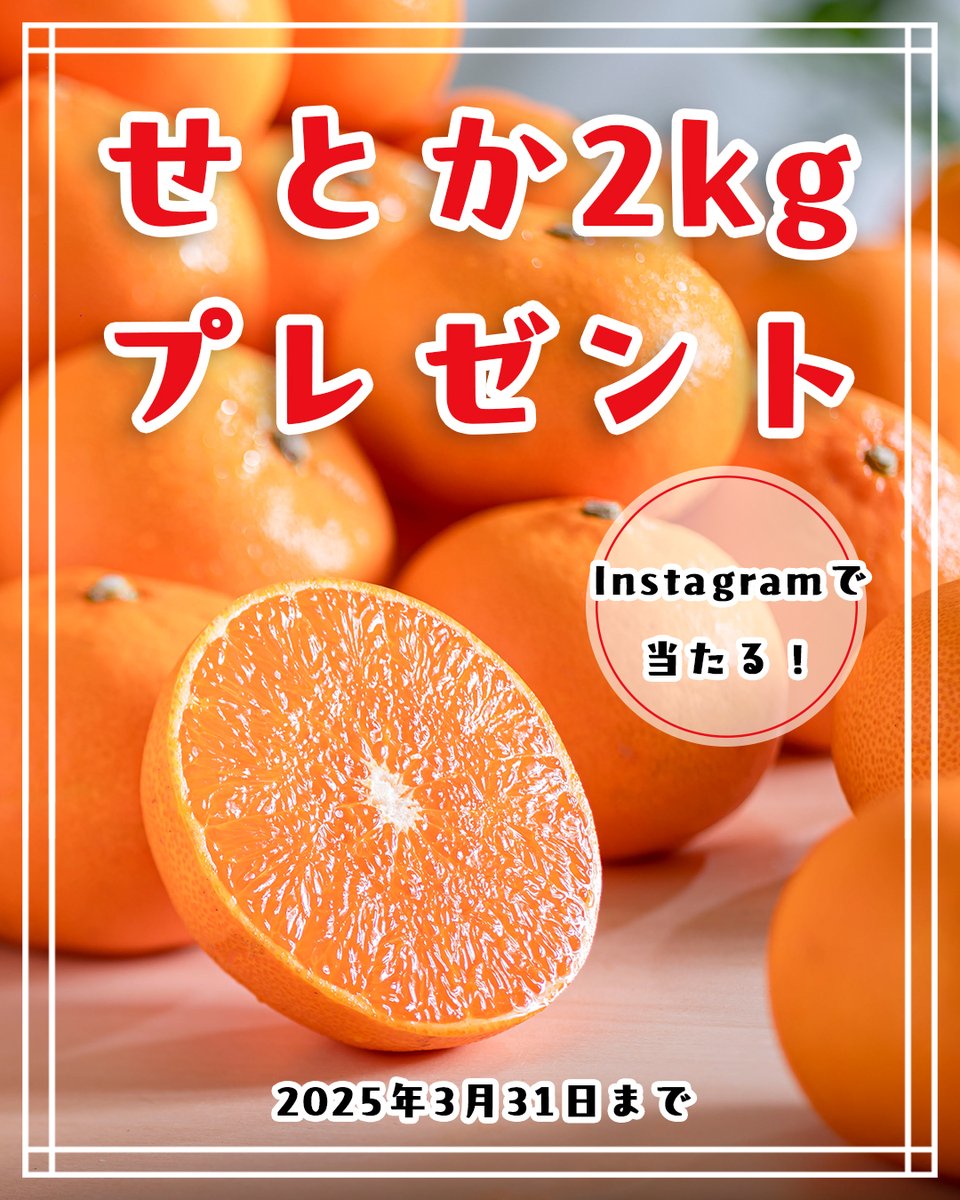 たっぷりの甘い果汁にとろける果肉🍊✨

／
せとか2kgを2名様にプレゼント！🎁
＼

【応募方法】
①ツリーをガン見してリンクを発見
②何スタグラムで実施かを悟る
③フォロー＆いいね
④この投稿をリポストしなくても完了！
⑤ただしリポストすると私がニヤリ！

#キャンペーンではない #こともない