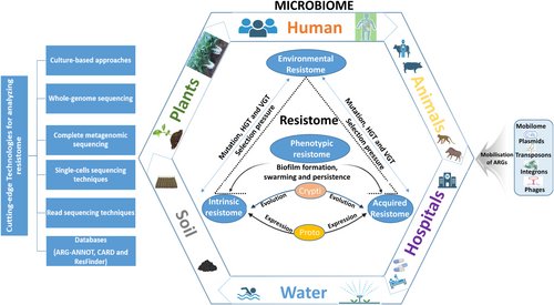 Global Sustainable Agriculture & Environment (@cropglobal) on Twitter photo New pub in Journal of Sustainable Agriculture and Environment- Intrinsic and Acquired Antimicrobial Resistomes in Plant Microbiomes: Implications for Agriculture and Public Health.
by Kiplimo et al <a href="/GBerg_ubt/">Gabriele Berg</a> <a href="/AAbdelfattah_/">Ahmed Abdelfattah</a>
onlinelibrary.wiley.com/doi/full/10.10… New pub in Journal of Sustainable Agriculture and Environment- Intrinsic and Acquired Antimicrobial Resistomes in Plant Microbiomes: Implications for Agriculture and Public Health.
by Kiplimo et al <a href="/GBerg_ubt/">Gabriele Berg</a> <a href="/AAbdelfattah_/">Ahmed Abdelfattah</a>
onlinelibrary.wiley.com/doi/full/10.10…