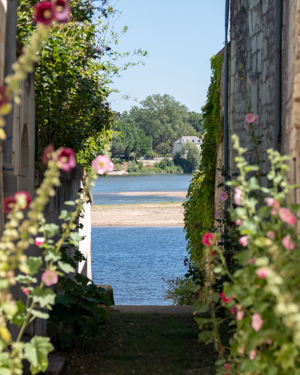 Candes-Saint-Martin, un trésor au bord de la Loire ! ✨

Avec ses maisons en tuffeau, ses ruelles pleines de charme et sa vue imprenable sur le fleuve, ce village est une invitation à l’évasion. 😍

#CandesSaintMartin #Loire #PlusBeauxVillagesDeFrance