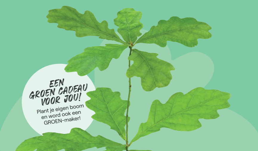 Ben jij in 2025 een nieuwe inwoner geworden van Maassluis? Dan hebben wij een cadeau voor jou: een boom voor jouw tuin, balkon of dakterras.🌳 Meld je nu aan via Maassluis verwelkomt nieuwe bewoners met gratis welkomstboom. maassluis.nl/maassluis-verw…