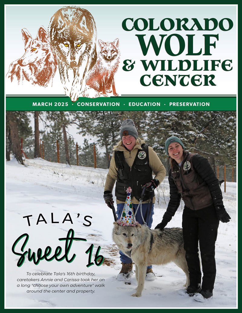 SamanthasLaw's tweet image. #CWWC 

wolfeducation.org