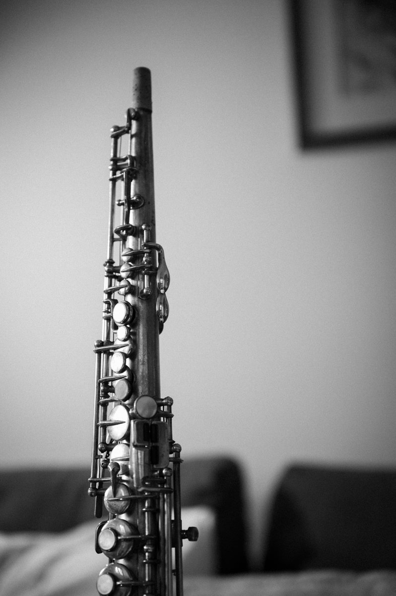 Sandro Compagnon tweet media