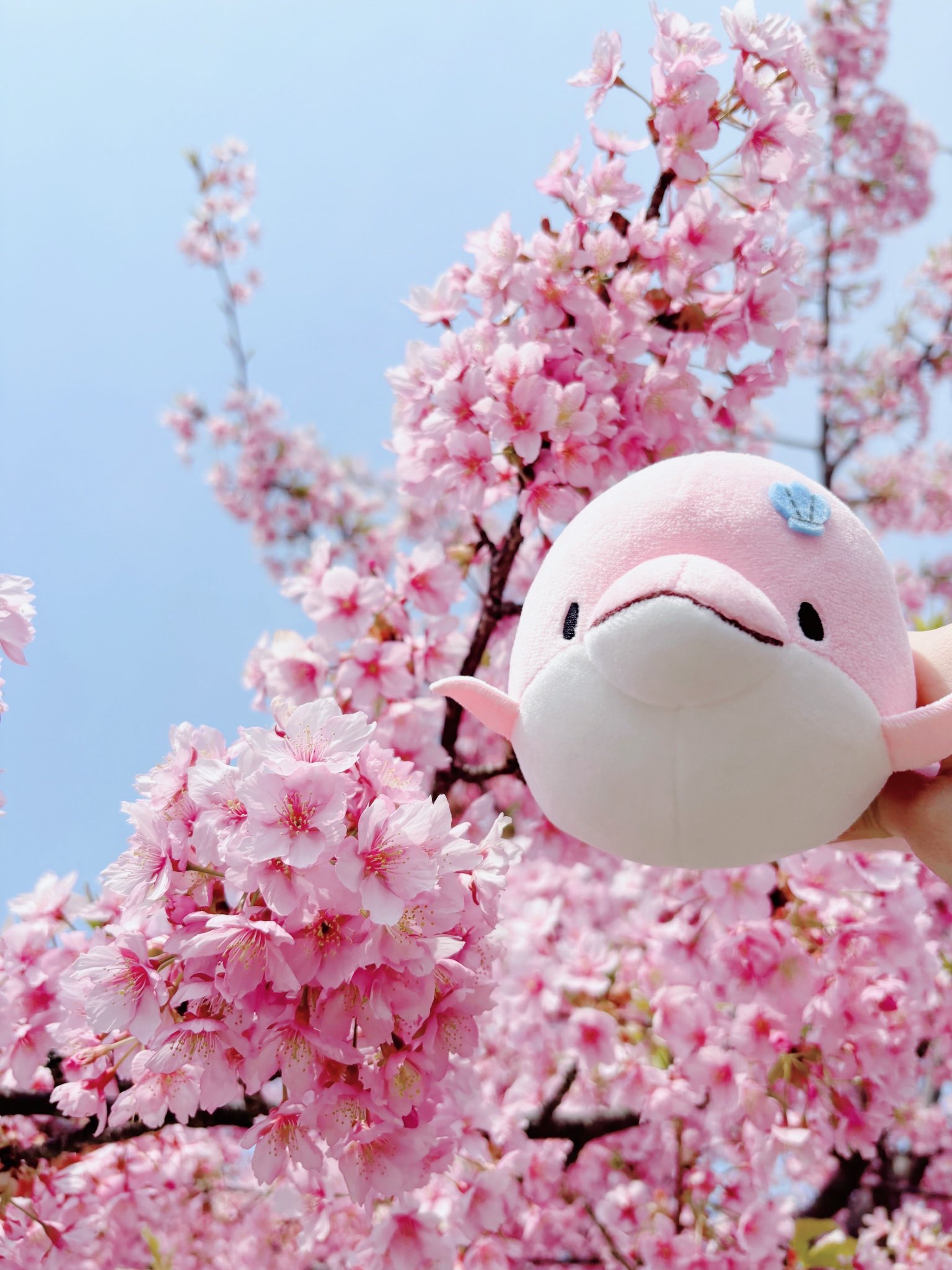 ♡カラフル桜が降る場所で♡シーグラスアート お花見 ひつじさんうさぎさん ♡シーグラスアート お花アーチとラッコさんドーム うさぎさん