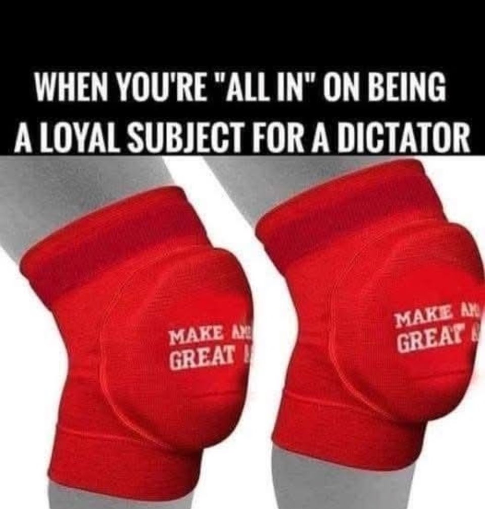 Wait, wut…? 🤣🤣🤣