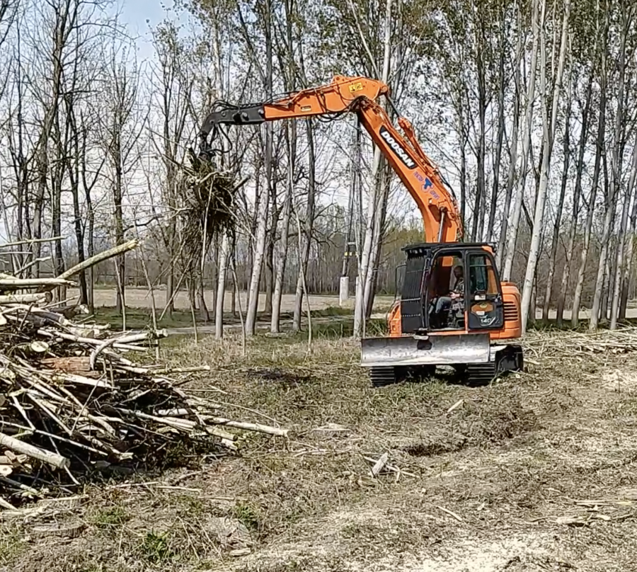 International Journal of Forest Engineering tweet media