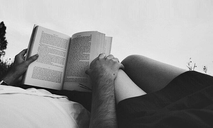 poeticalphotos's tweet image. 