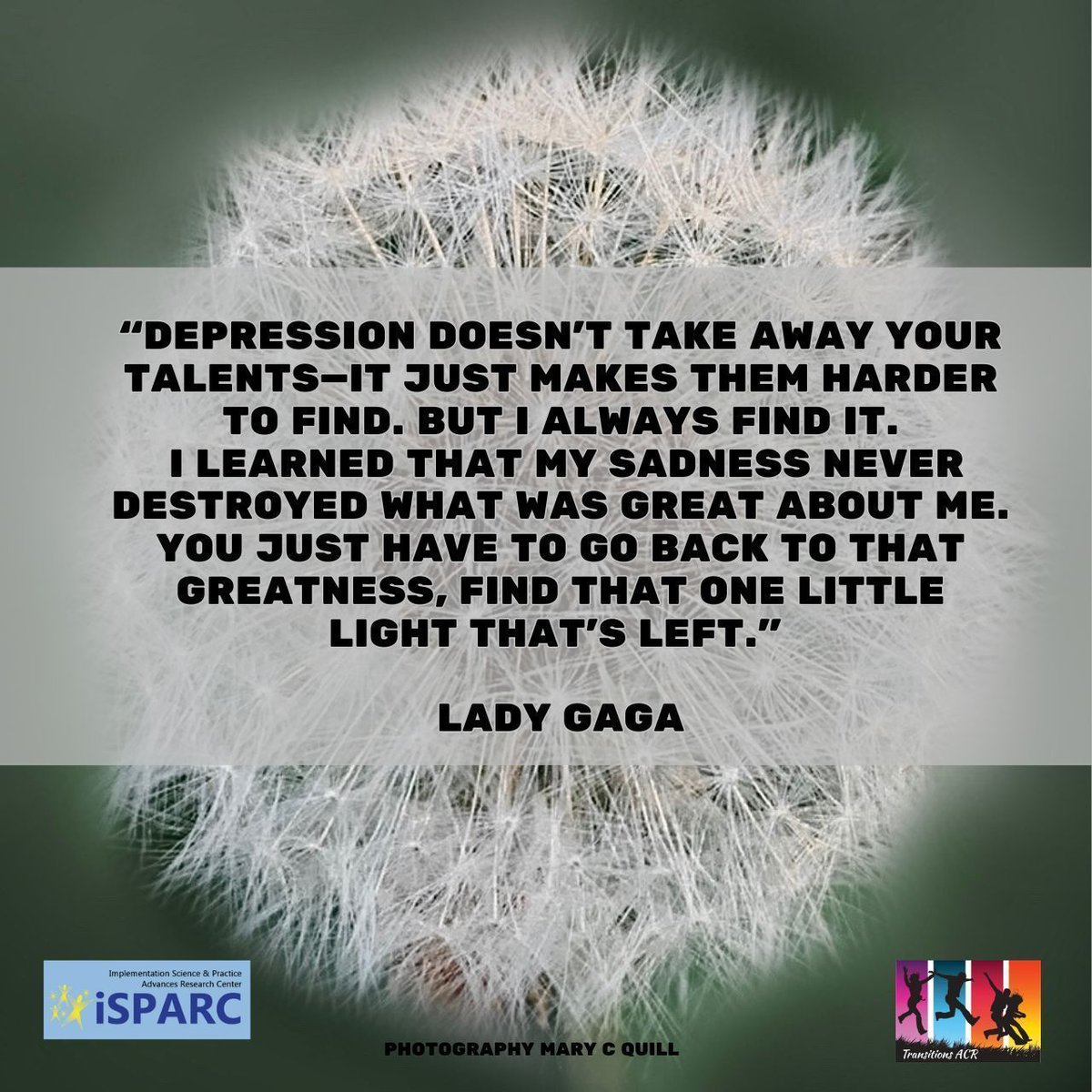 If you have the Monday blues, here is a helpful quote from Lady Gady, who has been very open about her battle with depression.  #Hope #Depression #Encouragement #MentalHealthSupport

Photo by Mary C. Quill.