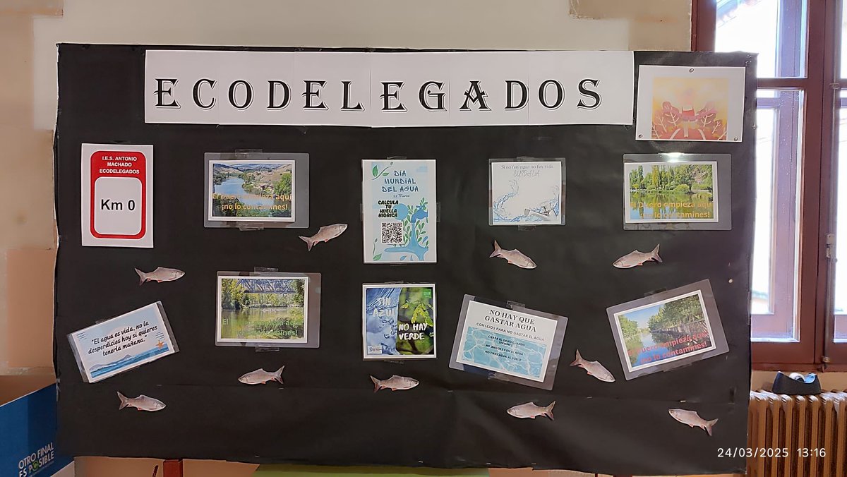 IES Antonio Machado tweet media