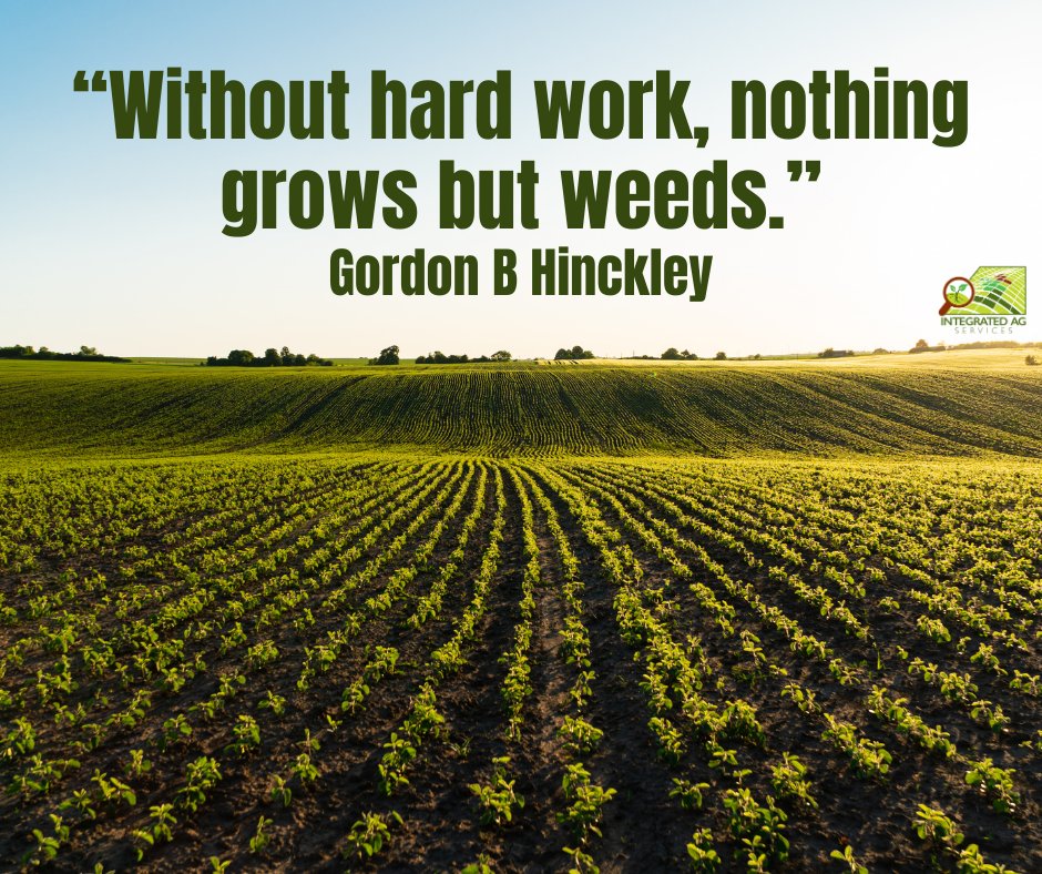 IntegratedAg's tweet image. Hard work is the foundation of growth. #IntegratedAgServices