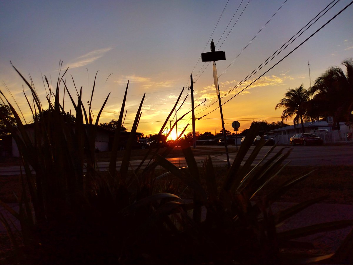 JorgeGNYCMIA's tweet photo. @JorgeG179 #Miami #Sky #Sunset #Palmtrees #photo #photodaily #phototoday #photoofthedaye #photogram #photograph #photographer #photography #photooftheweek #photos #photosession #photoshot #photostudio #skyphotography #sunrays #sunflares #lensflare #SunsetEvening https://t.co/t4yyaQWQIq