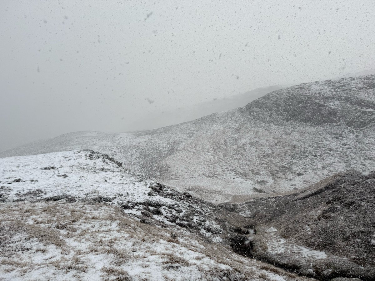 theDevLock's tweet image. Touched some grass ( ice ... gravel ... black sand ... glaciers ... beautiful Icelandic horses ) this past week. Now it is back to the grind. If you have never been to Iceland, I can&apos;t recommend it enough.