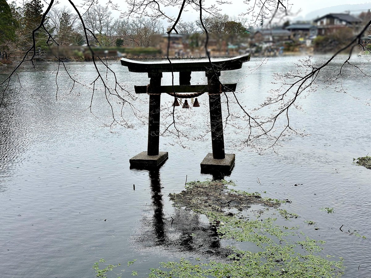 #湯布院町『 #金鱗湖』をご紹介💡
温泉と清水が両方湧き出る珍しい湖で、特に冬の朝霧は幻想的❄️
撮影日は急な冷え込みで思いがけず雪が舞い、水中鳥居もより神秘的な姿に✨
暖かくなり朝霧は見納めですが１年を通して人気の場所です👍
次回のふるさと #大分の風景/#大分の景色 もお楽しみに
#大分銀行