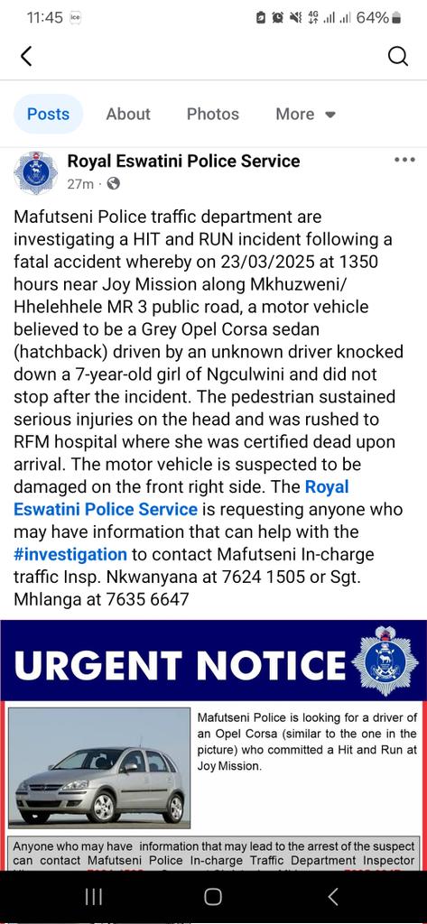 KatLmann's tweet image. #tinitwitter