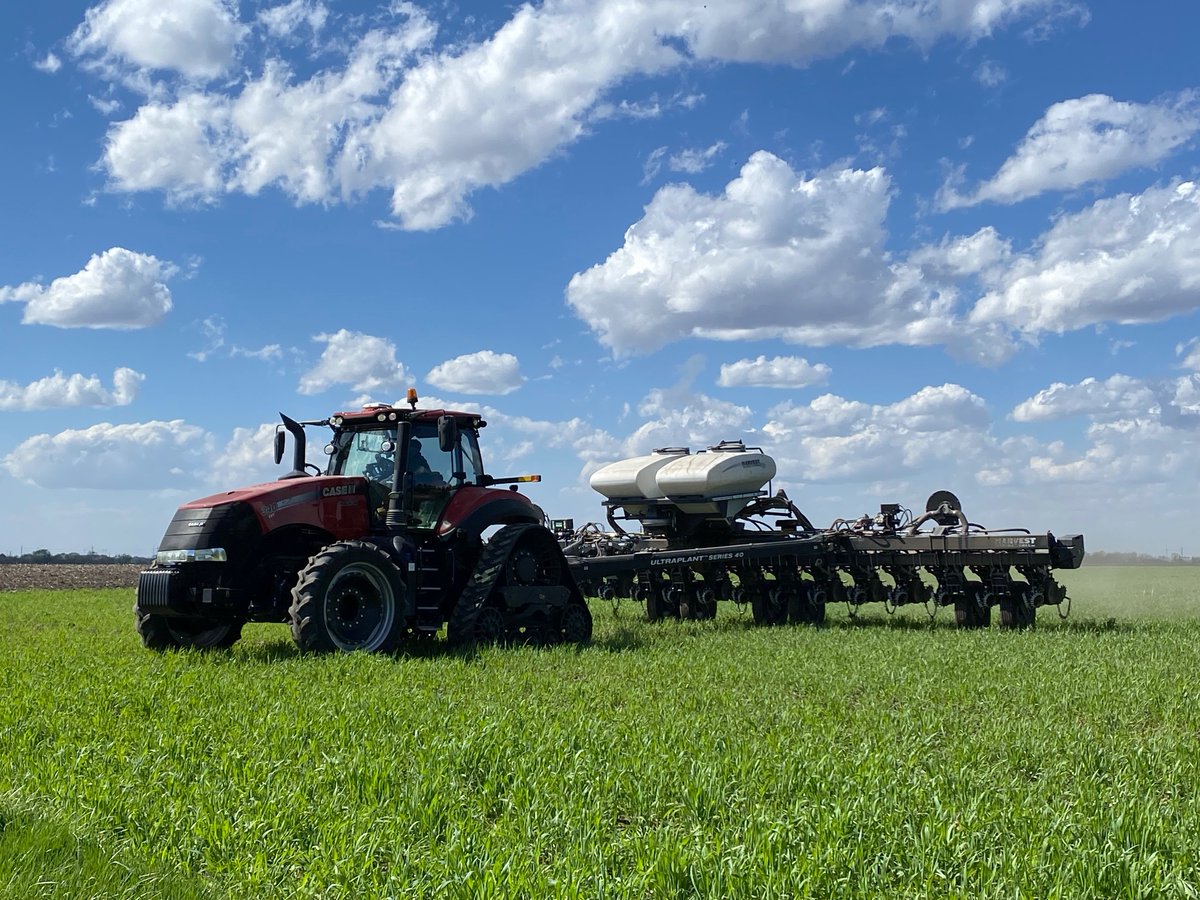 Syngenta's tweet photo. For modern farming, data is the new tractor! 🚜

From steering smart decisions to supercharging productivity, it’s helping farmers grow more food than ever before, sustainably. 🌱

Dig into the details here: https://t.co/IeO2gVYeal

#Agriculture #Innovation #Farming https://t.co/MGQYlDBI27