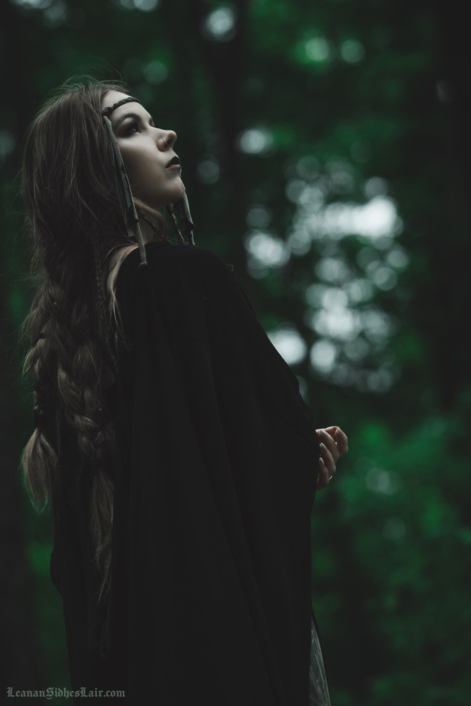 Lady LeananSidhe tweet media