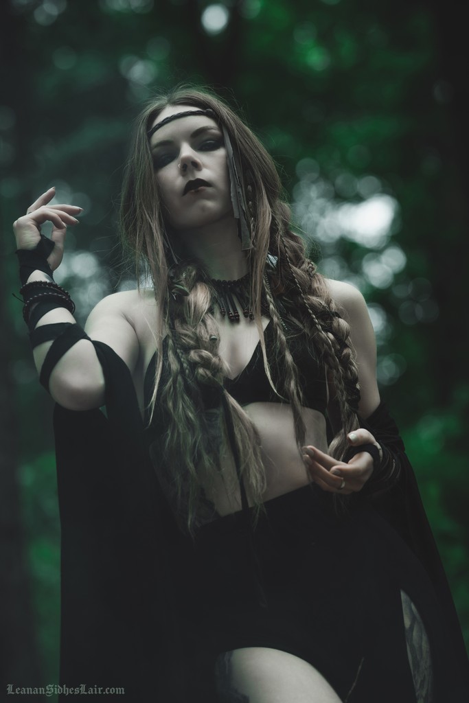 Lady LeananSidhe tweet media