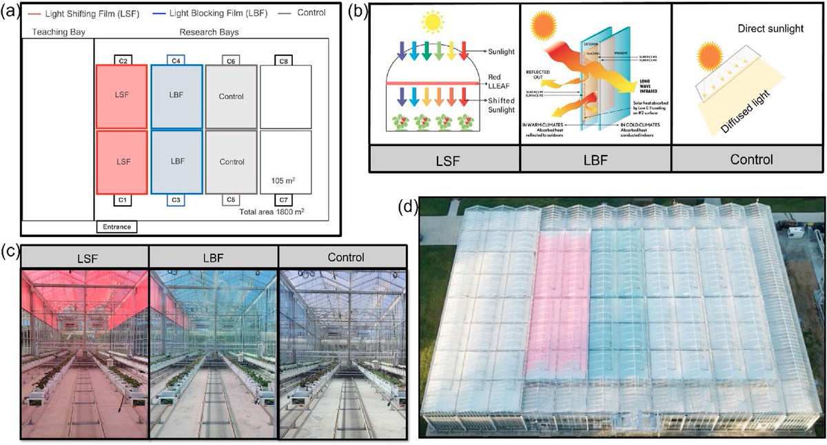 EELaboratory's tweet image. Optimal energy-efficient shade screen and ventilation control settings for a greenhouse covered with light-altering films - innovation by @LLEAFgreentech @Hort_Au @FutureFoodCRC @westsyduhie
doi.org/10.3389/fenrg.…