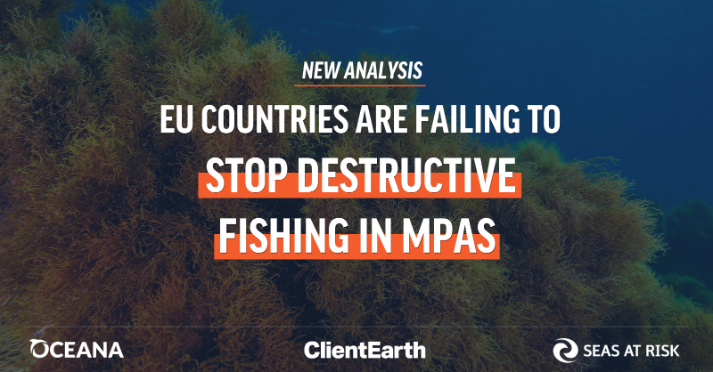 OceanaEurope's tweet photo. The science is clear: Bottom trawling destroys marine habitats, making most EU marine protected areas mere #PaperParks.

We call on the EU to:
🔴#BanBottomTrawling in MPAs
🟢Enforce nature laws
🔵Put forward new rules to ensure #ProtectedMeansProtected