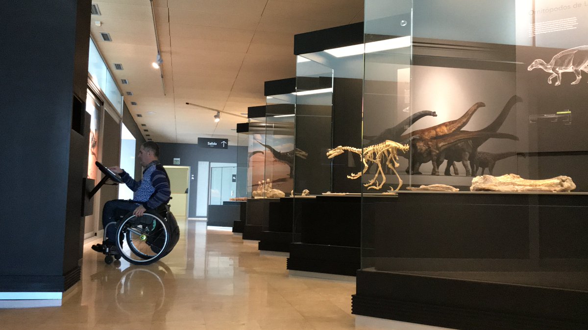 equalitasvitae/sillerosviajeros tweet media