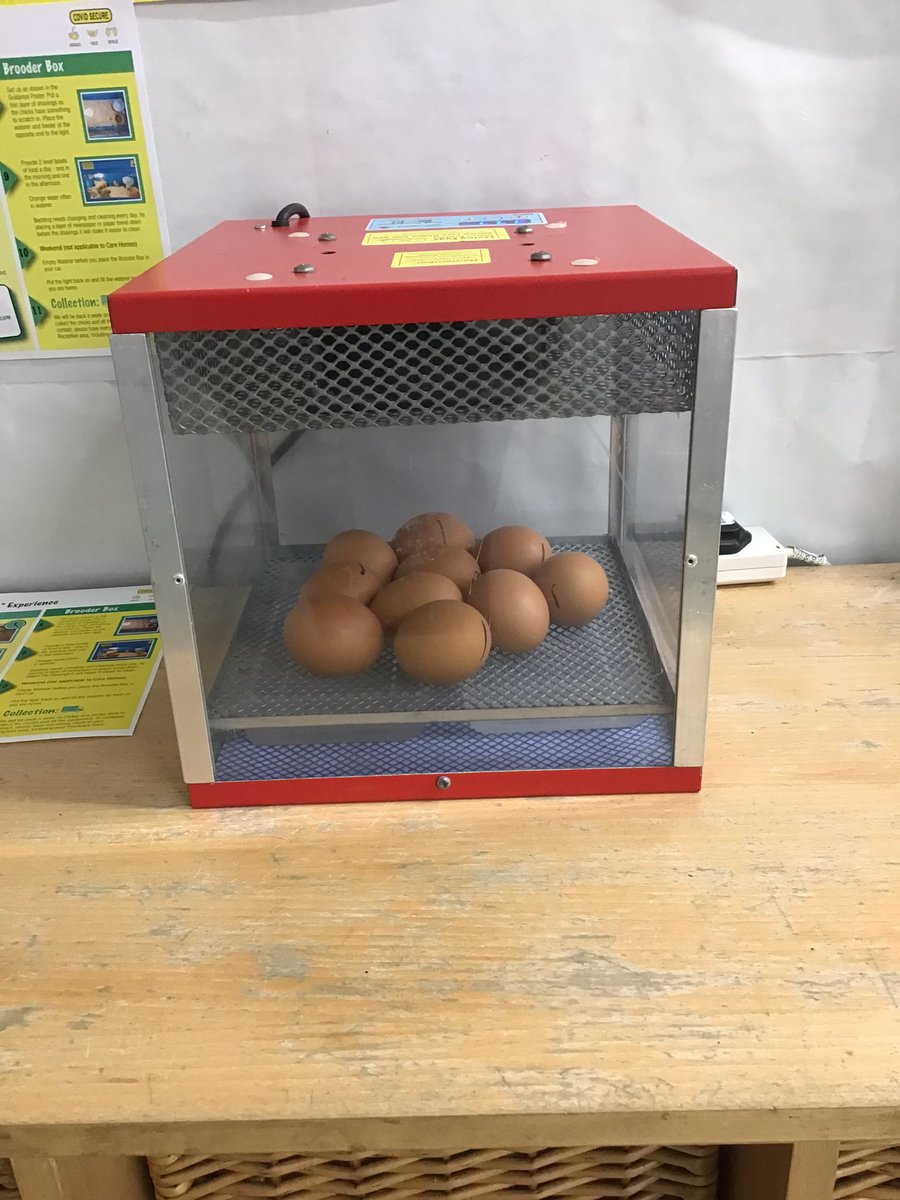 What an eggcelent way to start our week! We have had a special delivery of ten eggs. Nursery have discussed how to look after them and keep them safe. We can not wait to watch them grow and change over time. <a href="/Newyorkprimary/">New York Primary School</a> 🥚🐣🐥