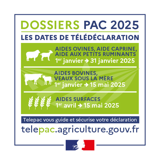 Agri_Gouv's tweet photo. La télédéclaration sur le site #Telepac est obligatoire pour bénéficier des aides PAC ⚠

Pour vous aider dans vos démarches, retrouvez l'ensemble des éléments relatifs au dispositif ⤵ https://t.co/29MHdYUQoY https://t.co/wfXO4YX9yR