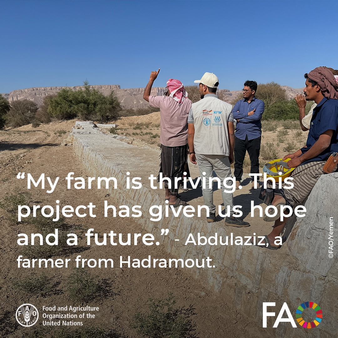 🚰On #WorldWaterDay, FAO, with support from the Netherlands, KfW &amp; France, is transforming #WaterSecurity &amp; agriculture in #Hadramout. 🇾🇪

Key efforts include irrigation rehabilitation, flood protection &amp; sustainable water management.

👉🔗 reliefweb.int/report/yemen/w… 

#FAO #Yemen