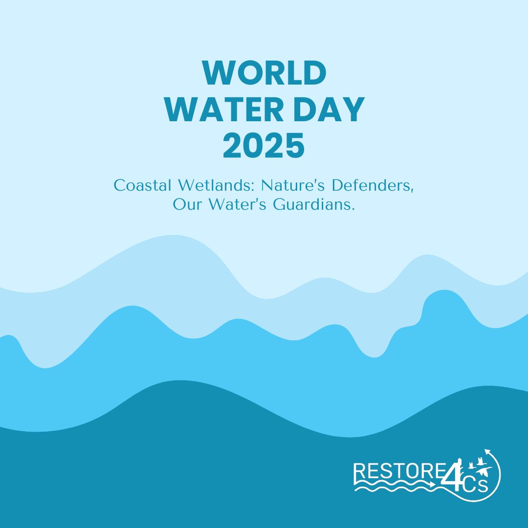 RESTORE4Cs's tweet image. This #WorldWaterDay2025,#RESTORE4Cs highlights its contribution to 🇪🇺 Water Resilience Strategy💧

Through the evaluation of coastal wetlands restoration,we’re tackling #climatechange,improving #water quality &amp;amp; securing freshwater for EU’s communities💦

🔗shorturl.at/48daW