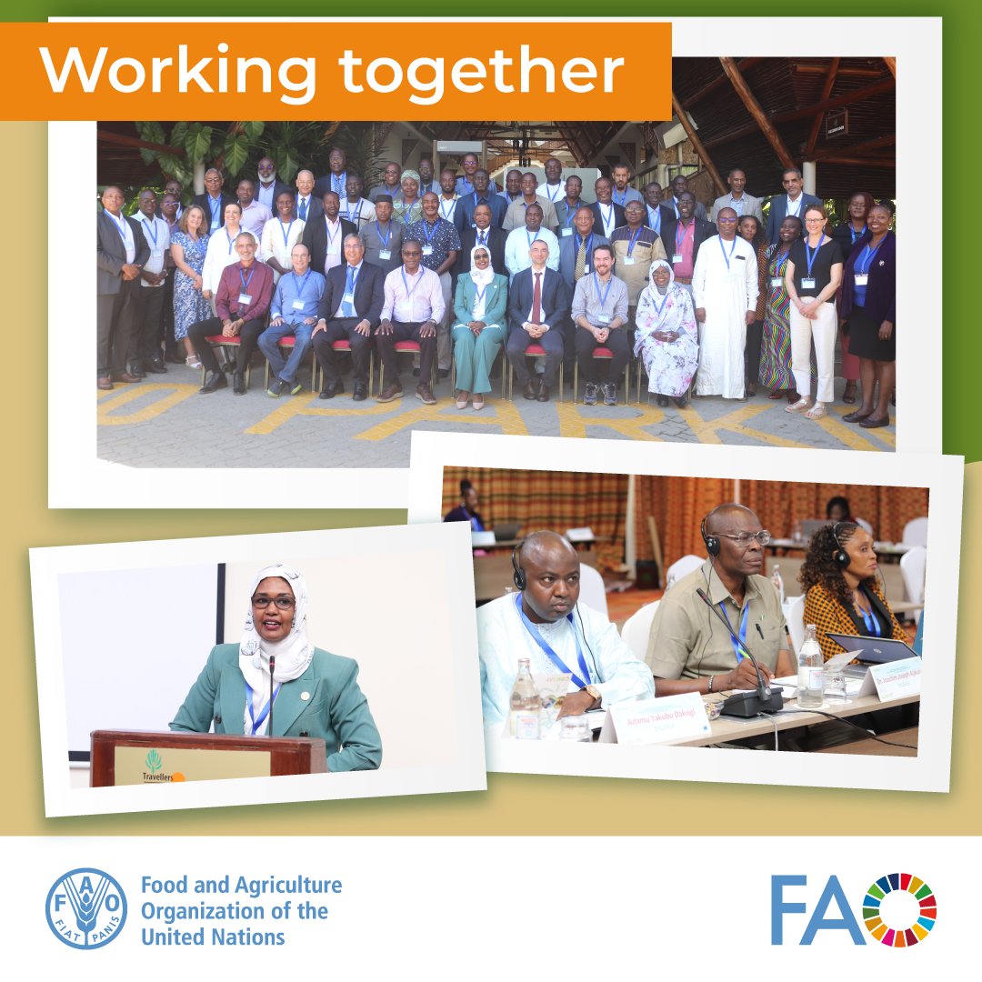 FAO Livestock (@faolivestock) on Twitter photo Supported by <a href="/EU_Commission/">European Commission</a>, <a href="/au_ibar/">AU-IBAR</a> and <a href="/FAO/">Food and Agriculture Organization</a> open a continent-wide workshop to enhance the progressive control of animal #trypanosomosis in Africa Supported by <a href="/EU_Commission/">European Commission</a>, <a href="/au_ibar/">AU-IBAR</a> and <a href="/FAO/">Food and Agriculture Organization</a> open a continent-wide workshop to enhance the progressive control of animal #trypanosomosis in Africa