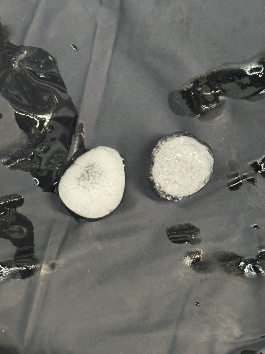 【車のルーフとボンネットを代償に得た戦利品】

ちなみに雹はチリや埃が核となって外側に向けて凍っていくので
よく見ると目玉みたいに層があるのよ！
5層くらいならわんちゃん確認できるかも！(๑•̀ㅂ•́)و✧