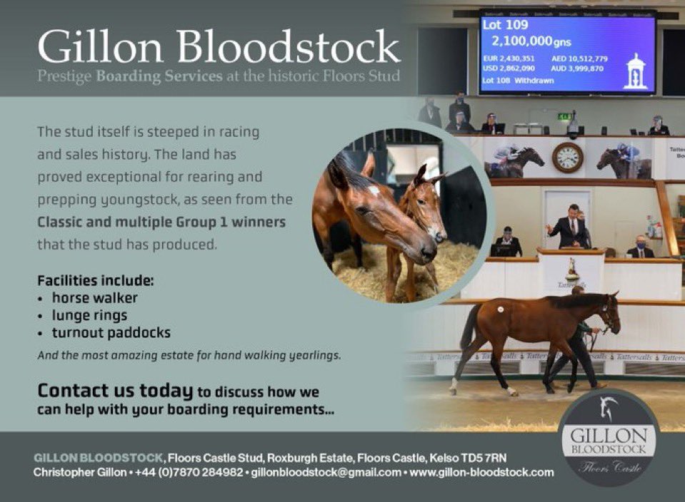 Gillon Bloodstock (@gillonbldstk) on Twitter photo 