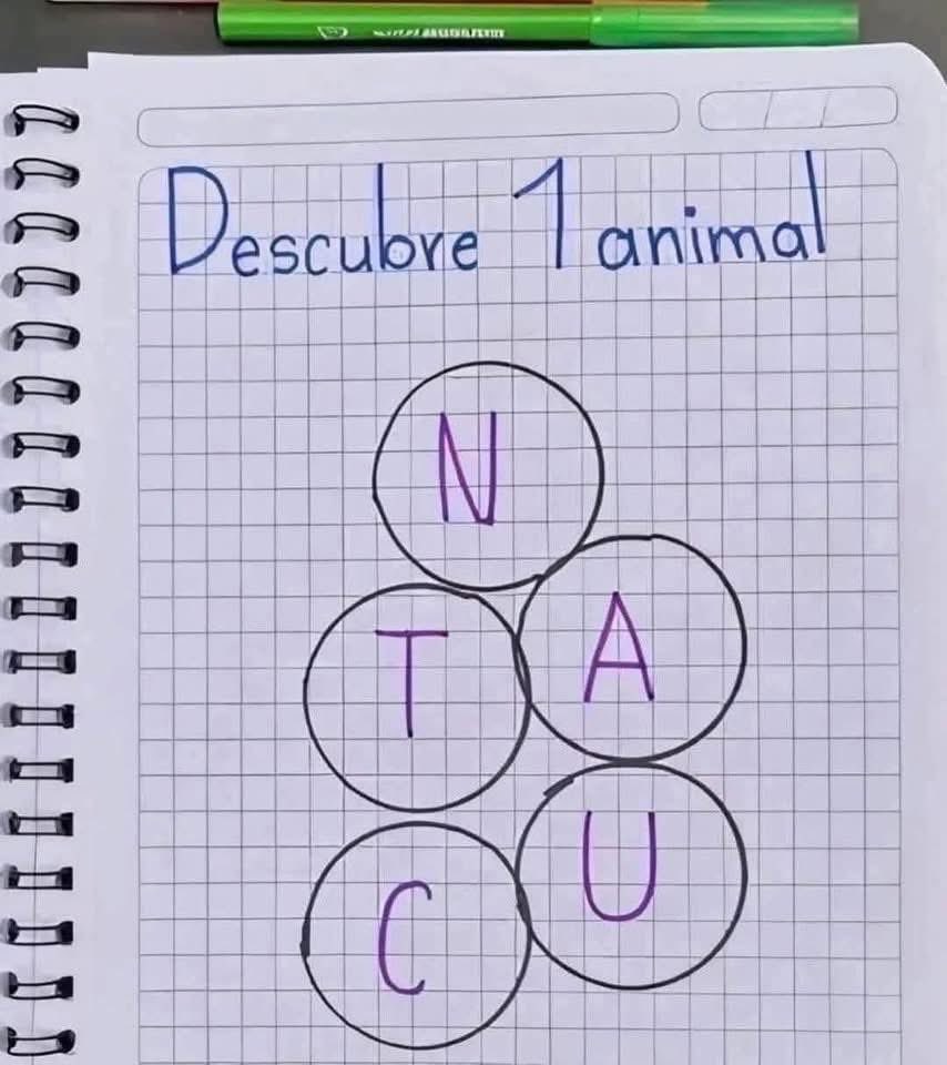 Enséñame de Ciencia tweet media