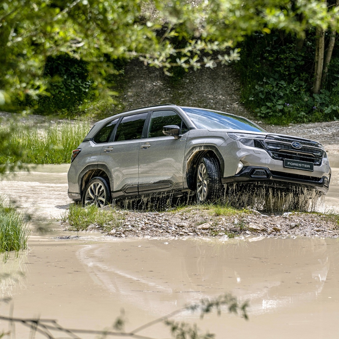 The path may be unclear, but the all-new Forester will get you there.