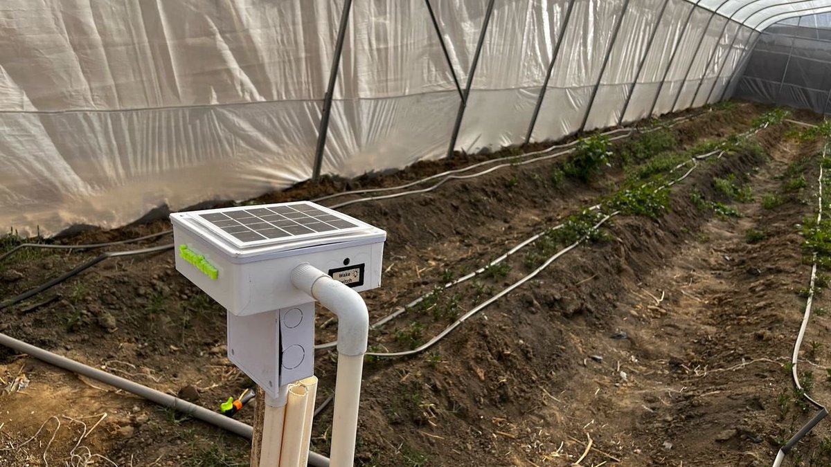 Green Eden Farms Ltd tweet media