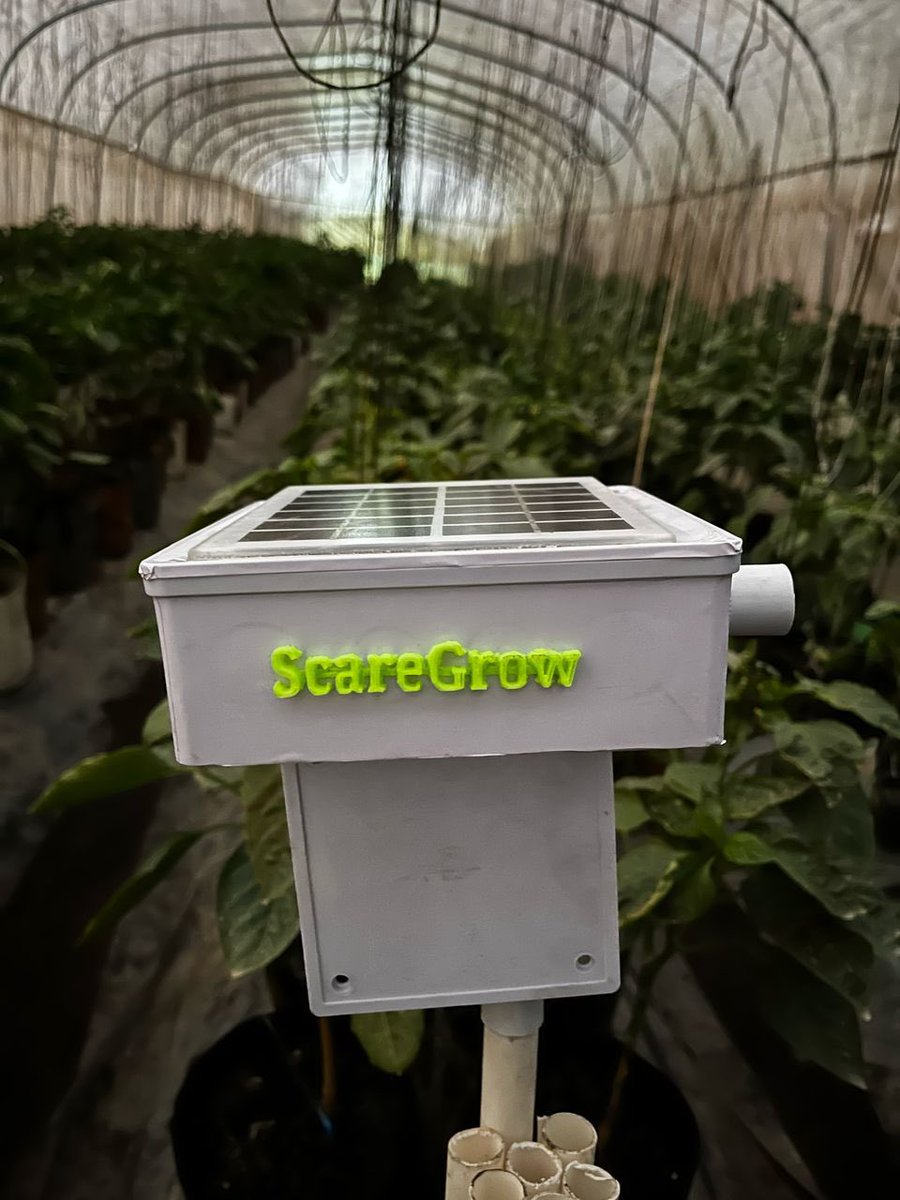 Green Eden Farms Ltd tweet media