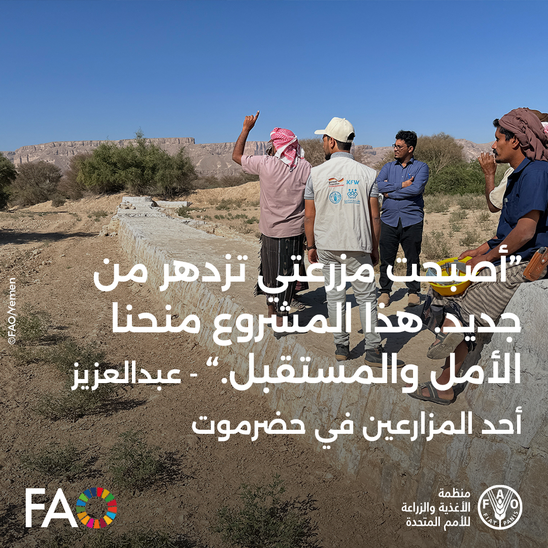 🚰في #اليوم_العالمي_للمياه، تعمل منظمة الأغذية والزراعة بدعم من هولندا وKfW وفرنسا على تعزيز #الأمن_المائي وتطوير الزراعة في #حضرموت.🇾🇪

تشمل الجهود إعادة تأهيل أنظمة الري، والحماية من الفيضانات، والإدارة المستدامة للموارد المائية.

👈🔗fao.org/countryprofile…

#اليمن #FAO #WWD25