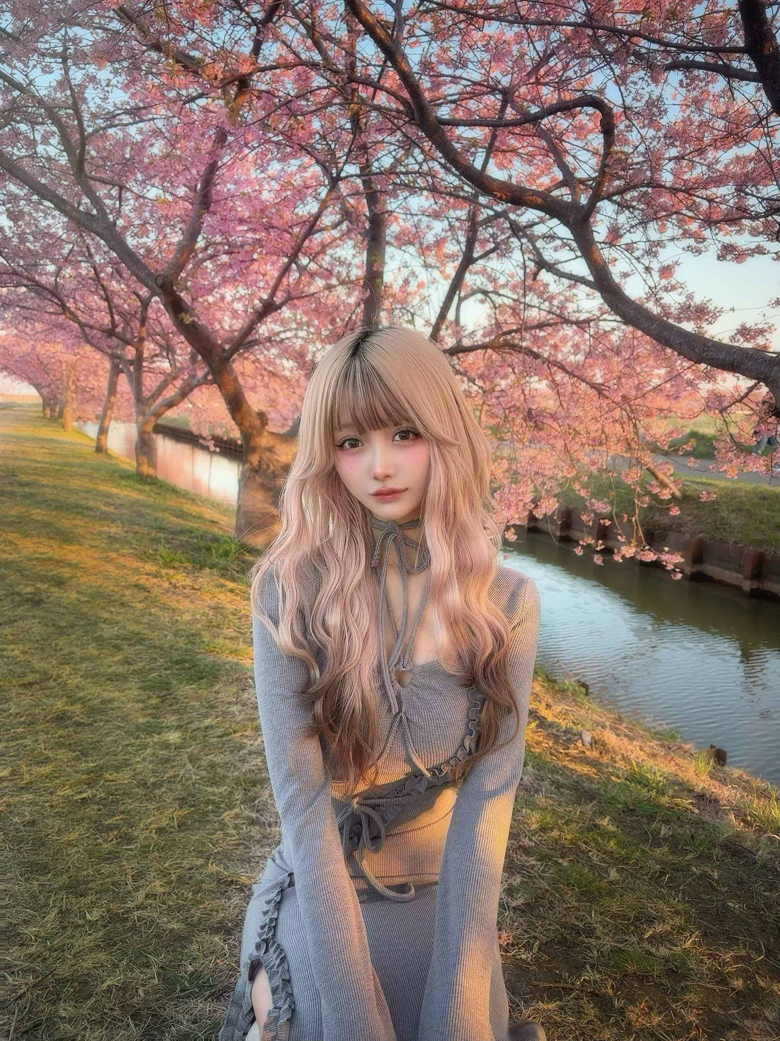 PELLICULE(ペリキュール) (@pellicule_jp) / X PELLICULE(ペリキュール) (@pellicule_jp) / X