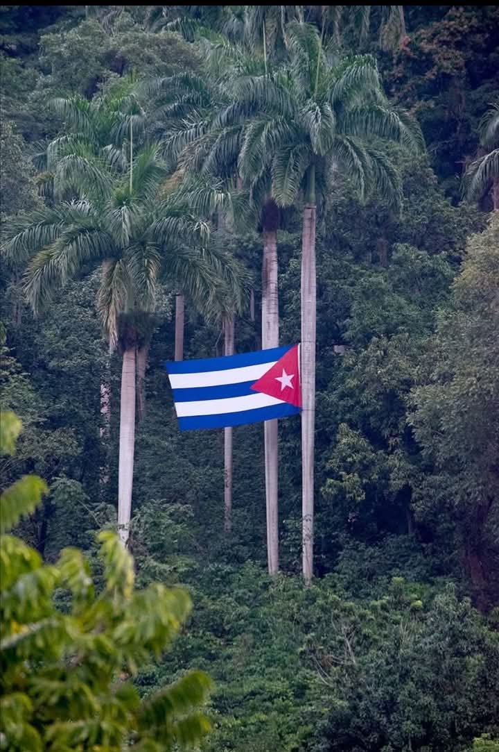 De Cuba se dicen mil cosas y a cada minuto la mayoría de las noticias son tremendas. Pero me consta el inmenso esfuerzo que hace mi pequeño país para seguir adelante cercado y bloqueado. Porque el bloqueo si existe y daña mucho. #Cuba 🇨🇺
