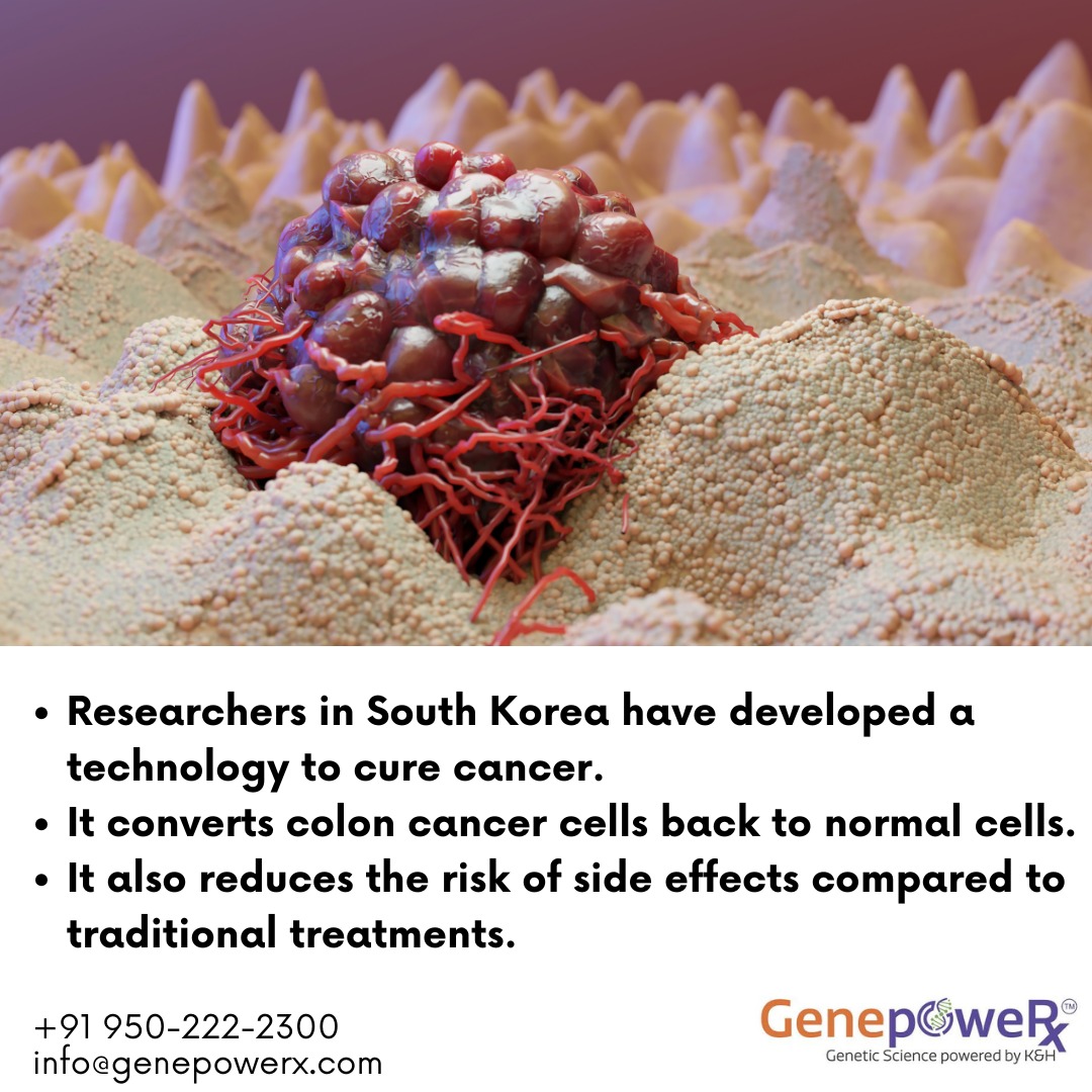 🔬 Korean scientists have developed a technology that repairs cancer cells, turning them into healthy colon cells instead of destroying them—a breakthrough in cancer treatment! 🌟

#CancerResearch #MedicalBreakthrough #ColonCancer #GeneTherapy #HealthTech #Biotech #Precision