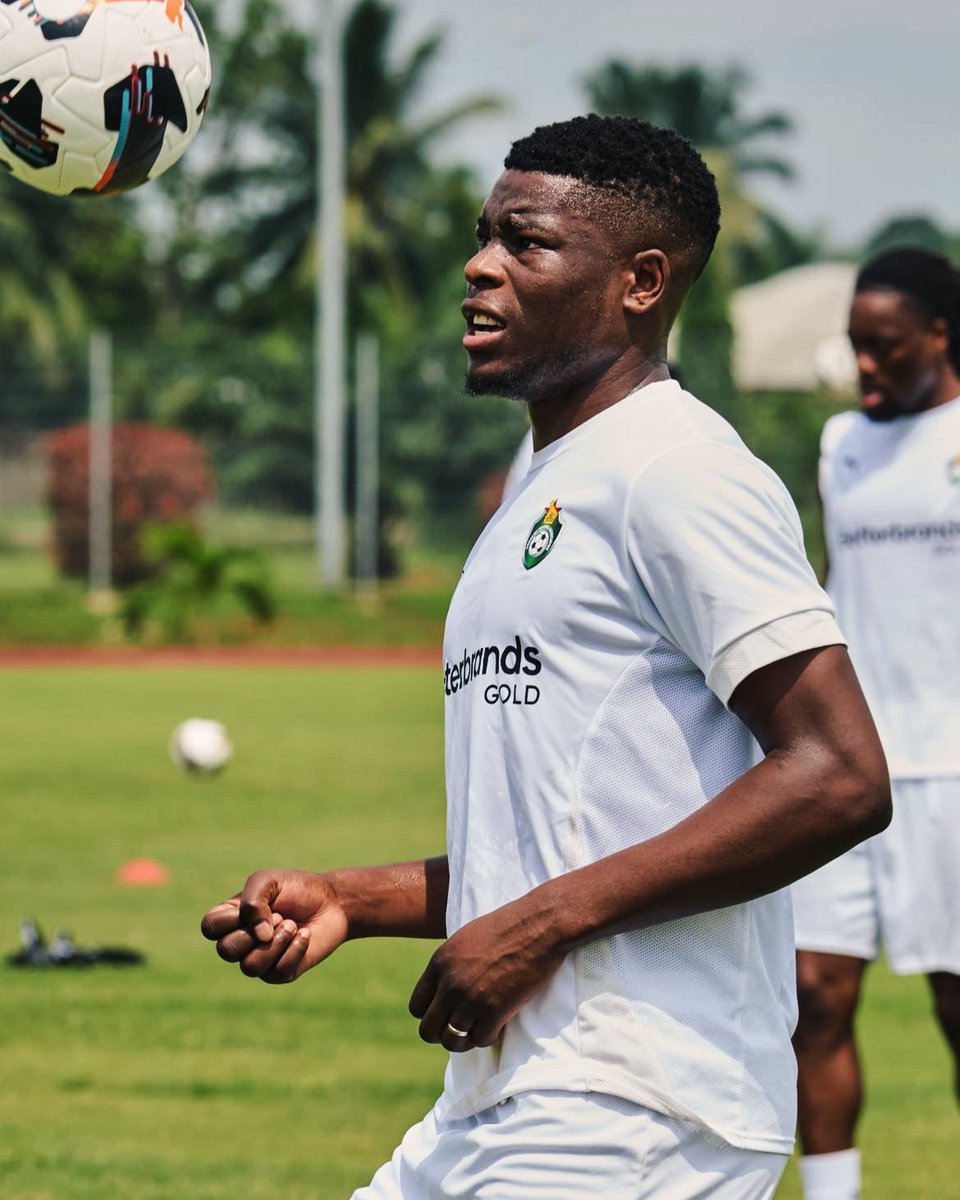 Working for The Warriors 🇿🇼