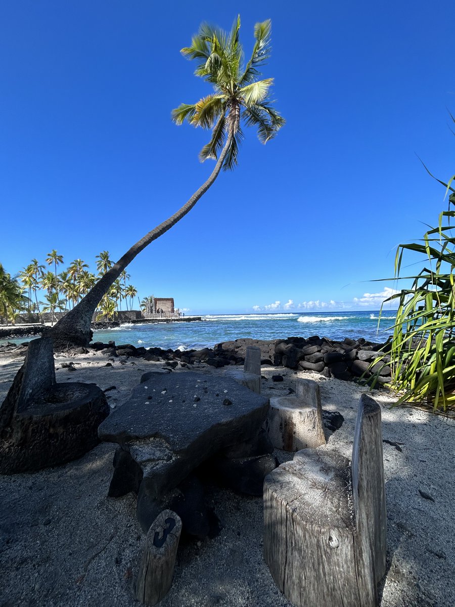 obligatory traveler (@obligatraveler) on Twitter photo Any place where you get there fast and then you take it slow, has #Top4Theme #Top4PalmTrees - share 4 of your favorite palm tree pics - tag <a href="/obligatraveler/">obligatory traveler</a> (so I can show the pics some love)
Elbow Cay-Bahamas
<a href="/JohnMuirNPS/">JohnMuirNHS</a> - California
<a href="/BiscayneNPS/">Biscayne NP</a> -Florida
<a href="/PuuhonuaNPS/">Puuhonua o Honaunau</a> -Hawaii Any place where you get there fast and then you take it slow, has #Top4Theme #Top4PalmTrees - share 4 of your favorite palm tree pics - tag <a href="/obligatraveler/">obligatory traveler</a> (so I can show the pics some love)
Elbow Cay-Bahamas
<a href="/JohnMuirNPS/">JohnMuirNHS</a> - California
<a href="/BiscayneNPS/">Biscayne NP</a> -Florida
<a href="/PuuhonuaNPS/">Puuhonua o Honaunau</a> -Hawaii