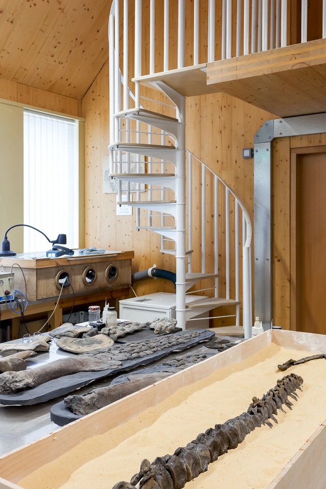 Janie Price of Kennedy O’Callaghan Architects selected one of our Scandinavian spiral #staircases as it would work practically in the small space at the Etches' workshop whilst also fitting with the contemporary #design of the #museum. View the case study: zurl.co/OXL0H
