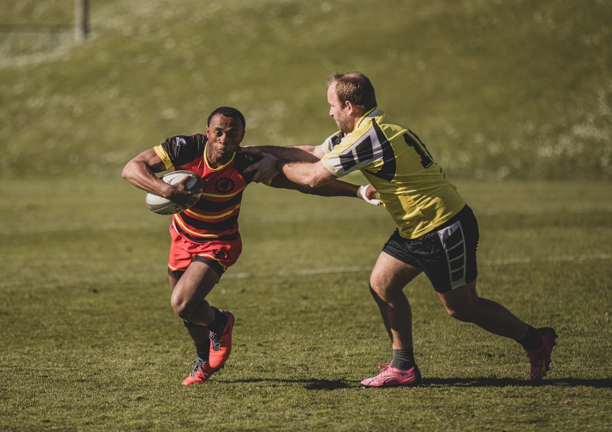 516e régiment du Train tweet media